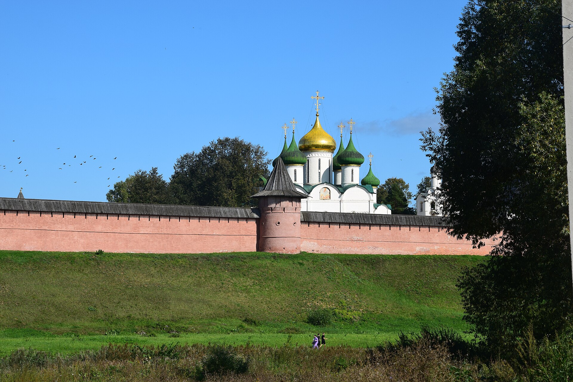 Стены Спасо-Евфимиева монастыря